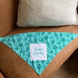 Juneshine Stagecoach Bandana